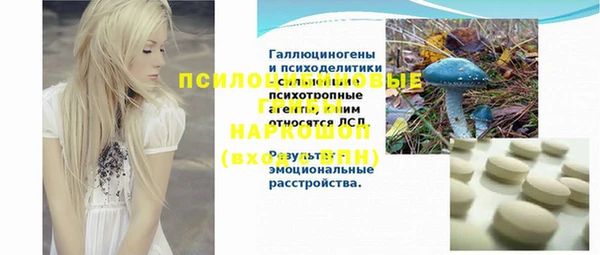 СК Володарск